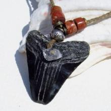 サメの歯の化石と両晶水晶の天然石パワーストーンネックレス☆ハンドメイドアクセサリー